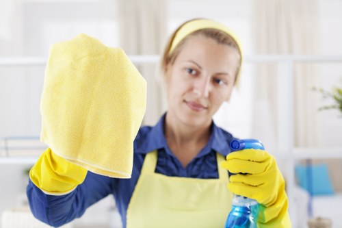Professional oven cleaning in Fulham with detailed appliance care