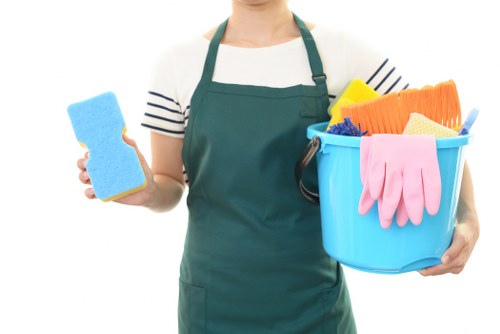 Professional carpet cleaning service in a Fulham home