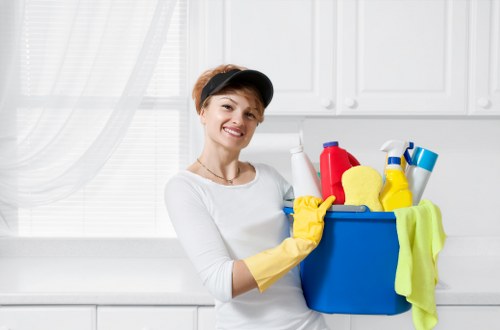 Cleaner oven racks and glass after professional service