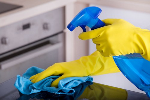 Safe and careful oven cleaning in Fulham by a trained professional