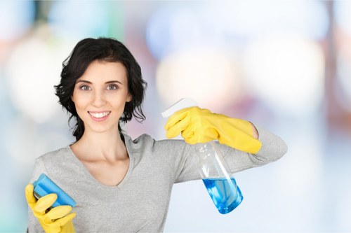 Waste and residue being collected for lawful disposal after oven cleaning