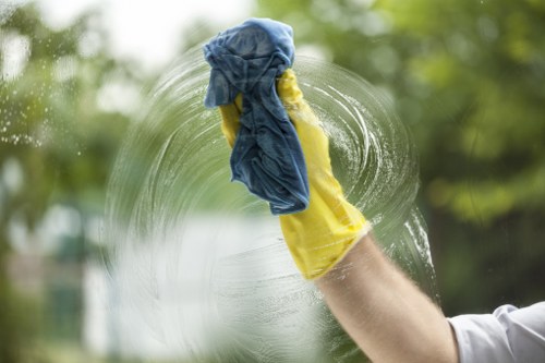 Thorough house cleaning in Fulham with attention to bathroom surfaces